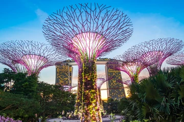 Cheap flights to Singapore - Book your flights to Singapore now!
